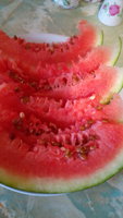 IMG_20160813_191637.jpg