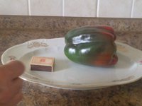 IMG_20160814_104840.jpg