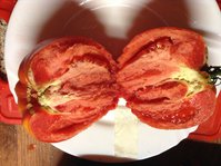 Житель Южной Америки