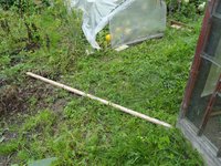 DSC05268-02.jpg