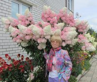 IMG_6397.JPG