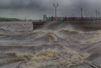 038 без шума 1600.jpg