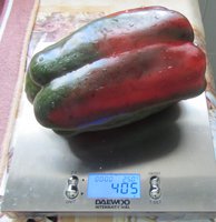IMG_6196.JPG