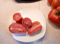 P60816-100337.jpg