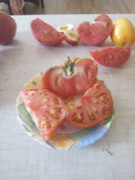 Разрез Бабушкиного лукошка