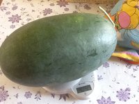 image.jpeg