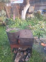 IMG_20160816_193313.jpg