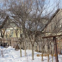 IMG_0260.jpg