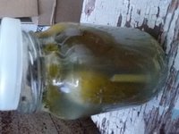20160816_193318.jpg