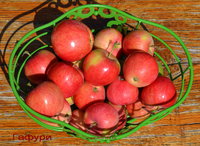 Гафури