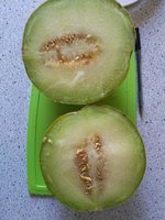 IMG_20160806_120418.jpg