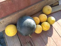 IMG_20160813_170557.jpg