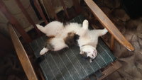 20160715_100753.jpg
