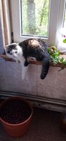 IMG_20160817_174354.jpg