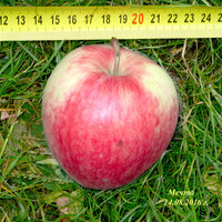 P1080002-2.jpg