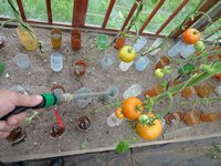 DSC05266-01.jpg