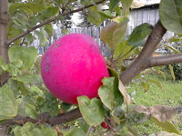 IMG_20160818_132948.jpg