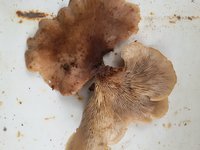 20160815_112931.jpg