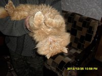 SAM_1240.JPG
