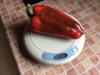 image.jpeg