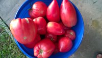 WP_20160822_002.jpg