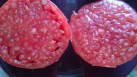 WP_20160821_003.jpg