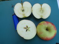 DSC05349-01.jpg