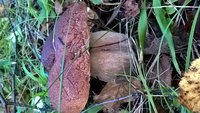 WP_20160822_06_41_48_Pro.jpg