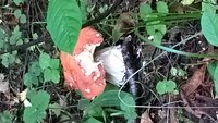 WP_20160822_07_51_54_Pro.jpg
