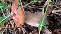 WP_20160822_08_25_14_Pro.jpg