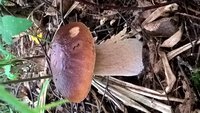 WP_20160822_08_26_02_Pro.jpg