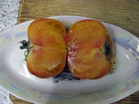 IMG_1342.JPG