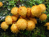 IMG_1289.JPG