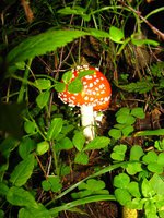 IMG_1348.JPG