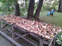 20160822_175302(1).jpg