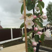 IMG_4326.JPG