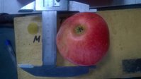 WP_20160808_001.jpg