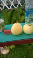 WP_20160814_001.jpg