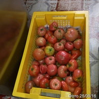 P60825-151949.jpg