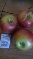 WP_20160825_001.jpg