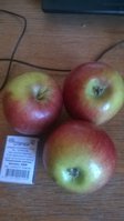 WP_20160825_002.jpg
