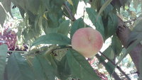 20160825_155054.jpg