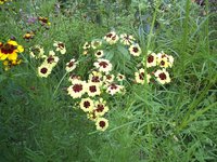 092-3.jpg