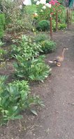 IMG_20160821_160541.jpg