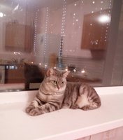 IMG_20160826_221207_351.JPG