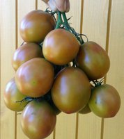 Пасхальное яйцо