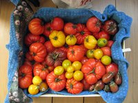 IMG_1445.JPG