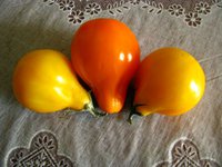 IMG_1448.JPG