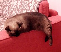 IMG_20160829_211223_005.jpg
