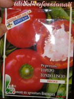 P1010077.JPG